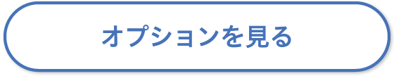 オプションを見る